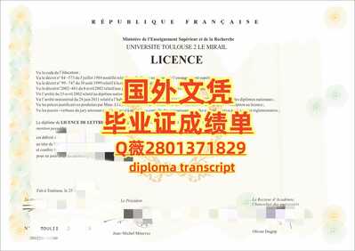 523图卢兹第二大学
