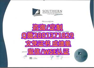 536新西兰南方理工学院 副本