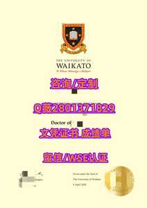 538新西兰怀卡托大学 副本