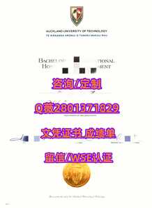 539新西兰奥克兰理工大学 副本