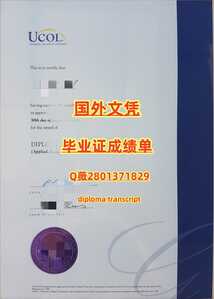 548新西兰联合理工学院 副本