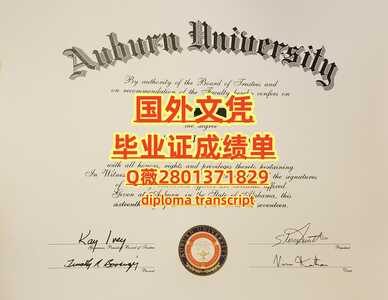 11奥本大学