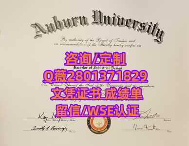 11奥本大学