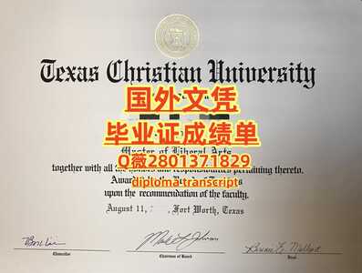 29德克萨斯基督教大学
