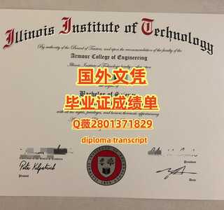 46伊利诺伊理工学院 副本