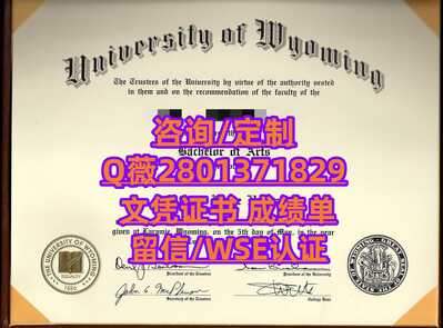49怀俄明大学