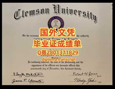 60克莱蒙森大学