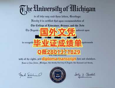 81密歇根大学