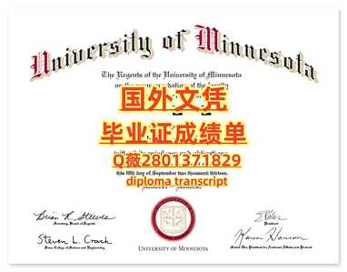 82明尼苏达大学罗切斯特分校