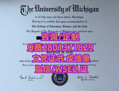 81密歇根大学
