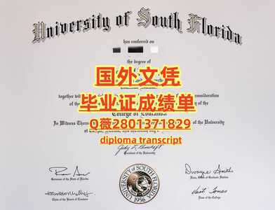 100南佛罗里达大学