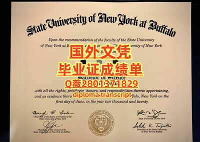 107纽约州立大学布法罗分校