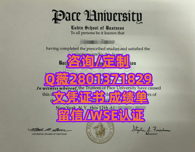 110佩斯大学