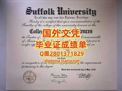 115萨福克大学