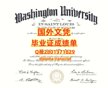 119圣路易斯华盛顿大学