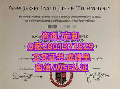 141新泽西理工学院