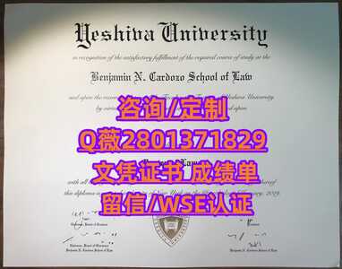 146耶什华大学