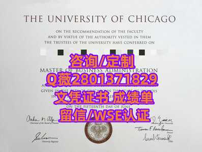151芝加哥大学