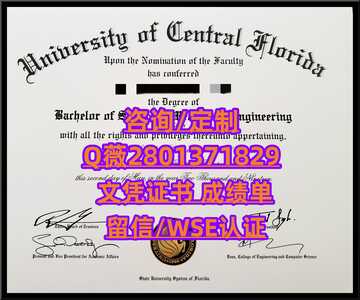 153中佛罗里达大学
