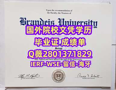 21布兰迪斯大学