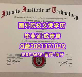 46伊利诺伊理工学院 副本