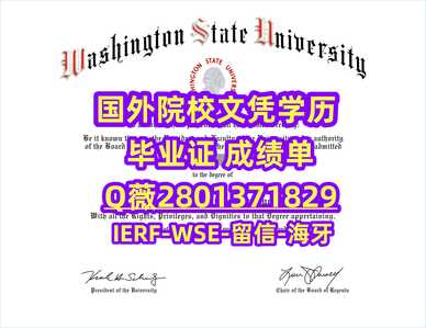 48华盛顿州立大学