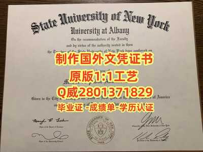 12奥尔巴尼大学