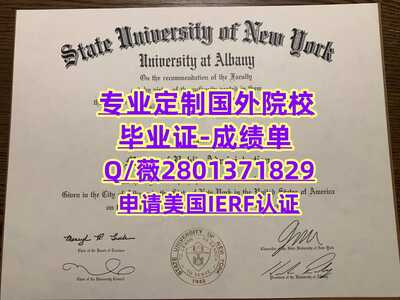 12奥尔巴尼大学