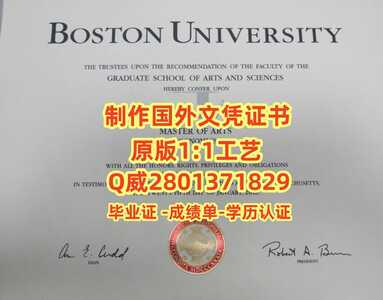 20波士顿大学 