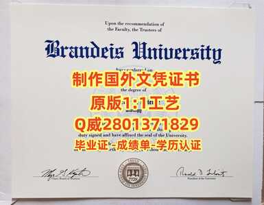 21布兰迪斯大学
