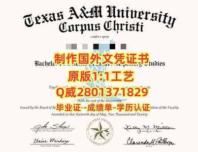 27德克萨斯A&M大学