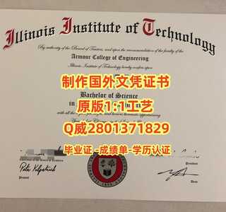 46伊利诺伊理工学院 副本