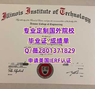 46伊利诺伊理工学院 副本