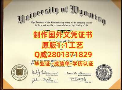 49怀俄明大学