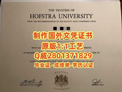 50霍夫斯特拉大学