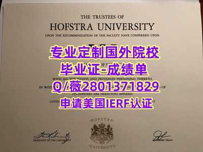 50霍夫斯特拉大学