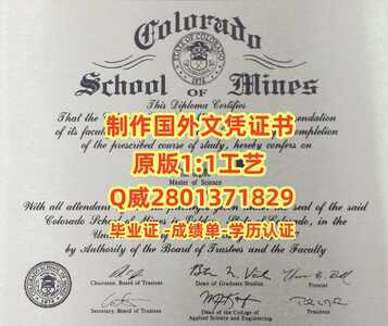 58科罗拉多矿业学院