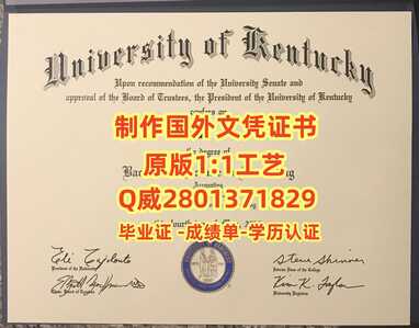 61肯塔基大学