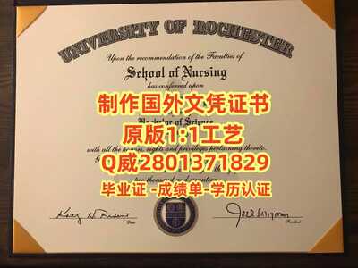 67罗彻斯特大学