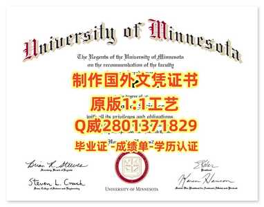 82明尼苏达大学罗切斯特分校