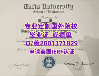 85塔夫斯大学 