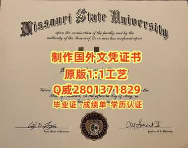 93密苏里州立大学