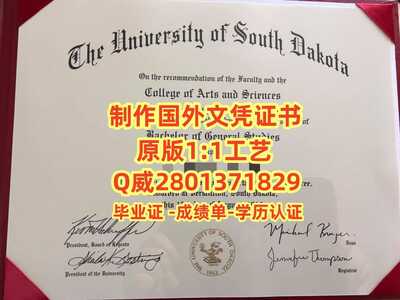 99南达科他大学