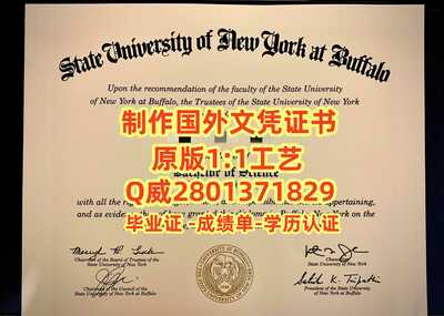 107纽约州立大学布法罗分校