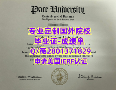 110佩斯大学