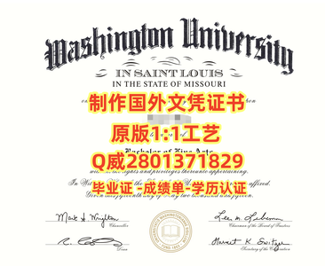 119圣路易斯华盛顿大学