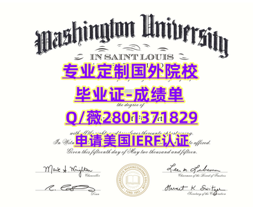 119圣路易斯华盛顿大学