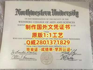 131西北大学