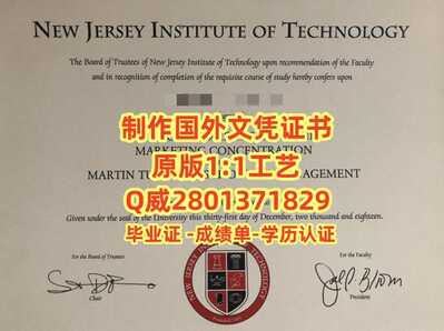 141新泽西理工学院