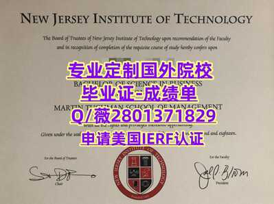 141新泽西理工学院